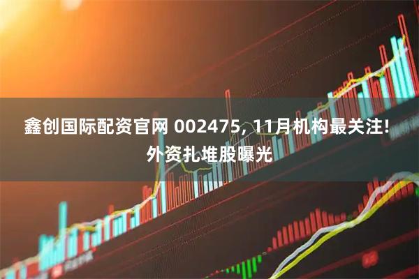 鑫创国际配资官网 002475, 11月机构最关注! 外资扎堆股曝光